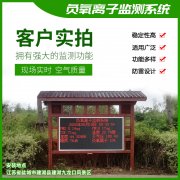 去公園吸氧，看看負氧離子在線監(jiān)測儀！